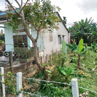 Chính Chủ Cần Bán 207M Đất Ở Hoàn Toàn Tt Nam Phước Cách Chợ Đình 100M Giá Rẻ: 650 Triệu Liên Hệ: 0936325884