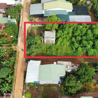 Gia Lai 22*42 Thổ Cư 400M2 Bám 2 Mặt Tiền Trước Sau ( 1 Mặt Tiền Bê Tông 22M - 1 Mặt Tiền Đường