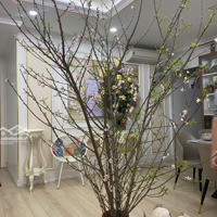 Bán Căn Hộ Chung Cư Tại Văn Phú Victoria, 6,15 Tỷ Vnd, 3 Phòng Ngủ 2 Vệ Sinh Ban Công Đn Full Đồ Trẻ Trung.