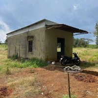 Bán Đất Đẹp Tại Thống Nhất, Bù Đăng, Bình Phước, Giá Thỏa Thuận, 31208 M2, Thực Tế 3H5