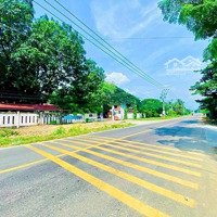 Đất Biển Bình Thuận Full Thổ Đường Quy Hoạch 29M Thông Thẳng Ra Biển