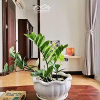 Căn Hộ 1 Phòng Ngủ Full Nội Thất Quận 7 Gần Lotte Mart, Sc Vivo, Cresent Mall, Tdtu, Rmit