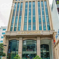 Cần Bán Gấp Tòa Nhà Ngay Sân Baymặt Tiềnbạch Đằng - Dt: 10X32M Hầm 7 Tầng - Hdt: 300 Tr/Th Giá Bán 55 Tỷ Tl