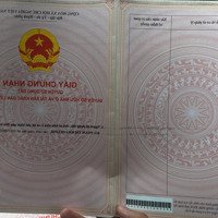 Chính Chủ Bán Đất Tại Khu Vực Bắc Bình, Bình Thuận, Gần Cây Xăng Số 11, Mặt Tiền Đường Đất