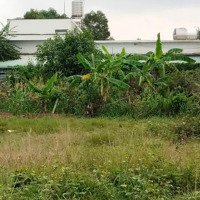 Bán Đất Nền 4000M2 Tại Xã An Phước, Long Thành, Đồng Nai, Giá Ưu Đãi 52 Tỷ Vnd