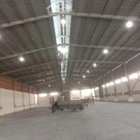 Cho Thuê Kho Xưởng Đường Hòa Bình, Tân Phú - Diện Tích: 1200M2 - Giá Bán 100 Triệu/Tháng