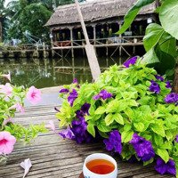 Bán Homestay Phong Cách Họi An, Có Hồ Bơi - Sân Vườn Chỉ 4,9 Tỷ.