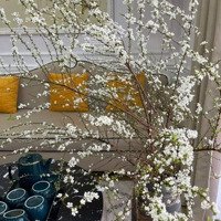 Chính Chủ Gửi Bán Bán Giúp Lô Đất Kiệt Oto 129/1 Nguyễn Công Hoan - Gần Đường Chính
Diện Tích : 80M