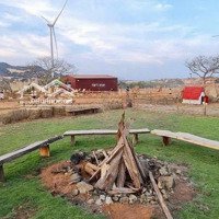Bán Lô Mặt Tiền Đường Về Sân Bay Phan Thiết. Liên Huyện. Được Xin Lên Thổ 5000M 1 Tỷ 2