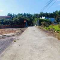 Bán Đất Tặng Nhà Tại Xã Phước An Nhơn Trạch Có 100M Thổ Cư Nhà Cấp 4 Đẹp Mới Ở Ngay