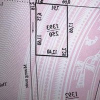 Siêu Phẩm 250M2 Mặt Tiền Tô Vĩnh Diện, Trung Tâm Tiện Ích Số 1 Thành Phố Đà Lạt