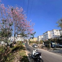 Siêu Phẩm 250M2 Mặt Tiền Tô Vĩnh Diện, Trung Tâm Tiện Ích Số 1 Thành Phố Đà Lạt