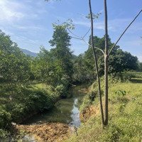 Đất Nghỉ Dưỡng Mặt Đường Hoàng Hoa Thám (Đt 301) Và Bám Suối To, Lưng Tựa Núi Giá Chỉ Hơn 2 Triệu/M2