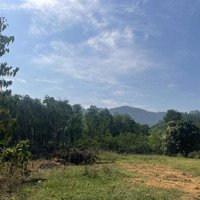 Đất Nghỉ Dưỡng Mặt Đường Hoàng Hoa Thám (Đt 301) Và Bám Suối To, Lưng Tựa Núi Giá Chỉ Hơn 2 Triệu/M2