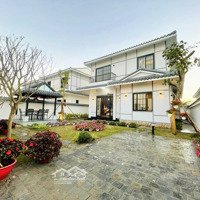 Cập Nhật Giỏ Hàng Vịnh An Hoà Giá Tốt Năm 2025 -Sổ Riêng Từng Lô - Ngân Hàng Hỗ Trợ Vốn Vay 3 Bên