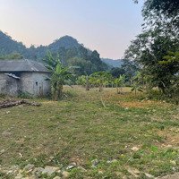 Bán Lô Đất 5000M Giá Rẻ Chỉ Gần 300K/M2 Có 580M Thổ Cư Còn Lại Là Đất Vườn Liên Hệ: 0984952921