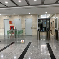 Bán Nhà Mặt Phố Võng Thị, 110 Tỷ, 220 M2, Xd 180M2 X 8 Tầng + Hầm. Sổ Đỏ. Giá Bán 110 Tỷ. Nhà Mới Xây