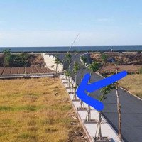 Chính Chủ Cần Bán Lô Đất Mặt Biển Quất Lâm, Đối Diện Bãi Tắm, Giá Rẻ Tiềm Năng Sinh Lời Cao