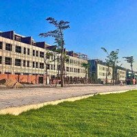 Chính Chủ Cần Bán Gấp Đất Nền Mặt Tiền Quốc Lộ 19
