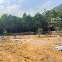 Bán 1000M Đất Tặng Nhà Sẵn Khuôn Viên Sân Vườn Ao Cá.giá Chỉ Nhỉnh 1 Tỷ Liên Hệ: 0984952921