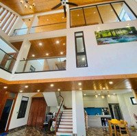 Chính Chủ Bán Biệt Thự Gócdiện Tích256M2, 24 Tỷ, Đường Thái Văn Lung, Phường 2, Vũng Tàu Cách Biển 800M