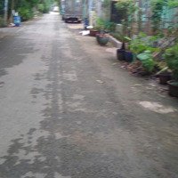 Cần Bán Nhà Vi Bằng 250M2 Giá Bán 2,5 Tỷ Tại Bình Mỹ Củ Chi Đường 8M, Ký Sang Tên Ngay Trong Ngày