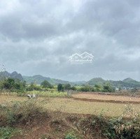 Bán Lô Đất 2100M Có 400M Đất Ở Tại Tân Lạc.view Cánh Đồng, Có Suối, Bám Mặt Đường 40M Liên Hệ: 0984952921