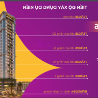Mia Center Căn Hộ Cao Cấp - Ngay Đại Lộ 60M Trục Nguyễn Sinh Sắc - Liên Chiểu - Đà Nẵng.