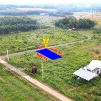 Bán Đất Nền Tại Thuận Lợi, 400 Triệu, 134,5 M2, Hàng Hiếm Tại Bán Gấp