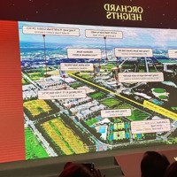 Căn Hộ Orchard Heights Của Chủ Đầu Tư Capitaland Tại Dự Án Sycamore Chính Thức Nhận Booking
