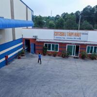 TOÀN PHÁT LOGISTICS - CHO THUÊ KHO CHỨA HÓA CHẤT CÔNG NGHIỆP