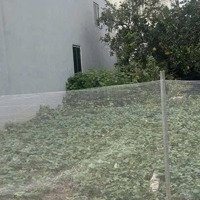 Cần Bán Lô Đất 75,1M2 Vị Trí Đẹp Tại Tráng Việt, Mê Linh. Giá Siêu Rẻ