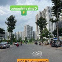 Chính Chủ Cần Bán Gấpmặt Tiền9A 160M2, Kdc Phước Thiện, Long Bình, Q9, Hcm Giá 108 Triệu/M2