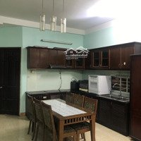 Cho Thuê Nhà Trung Tâm Nam Sài Gòn Với Giá Hấp Dẫn