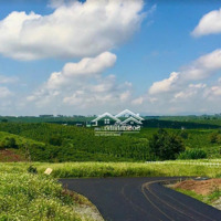 Chủ Kẹt Tiền Ngân Hàng, Cần Xoay Vốn Gấp 1000M2 Sẵn 200M2 Thổ Cư, Chỉ 780 Triệu, Công Chứng Ngay