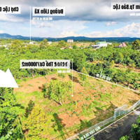Chủ Kẹt Tiền Ngân Hàng, Cần Xoay Vốn Gấp 1000M2 Sẵn 200M2 Thổ Cư, Chỉ 780 Triệu, Công Chứng Ngay