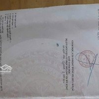 Chính Chủ Bán Đất Kiệt 5M Trần Ngọc Sương, Cẩm Lệ, Đà Nẵng