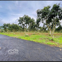 Gần Ngay Ủy Ban Lộc Đức, Chủ Xả Lỗ Gấp 1359M2 Sẵn 160M2 Thổ Cư, Công Chứng Ngay