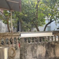 Bán Đất Ngõ Rẻ Khu Vực Sắp Lên Quận Đang Làm Mạnh Hạ Tầng Nghĩa Vũ Dục Tú Đông Anh