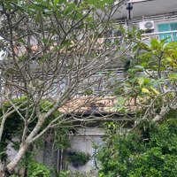 Cho Thuê Phòng Làm Việc, Phòng Giảng Dạy Phường 7, Tp Bến Tre