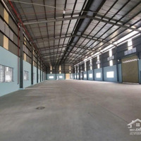 Cho Thuê Kho Xưởng Kcn Hải Sơn, Long An, Khuôn Viên : 4.000M2, Xưởng : 2.500M2 , Pccc Tự Động