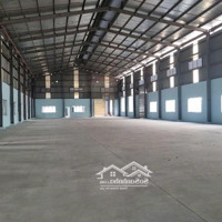 Cho Thuê Kho Xưởng Kcn Hải Sơn, Long An, Khuôn Viên : 4.000M2, Xưởng : 2.500M2 , Pccc Tự Động
