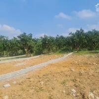 Bán nhanh lô đất vàng tại Đoàn Kết, Yên Thủy, Hòa Bình giá chỉ 200tr, mt 6m.