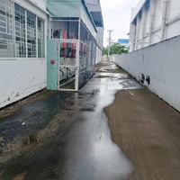 Cho Thuê 2 Kho Kcn Long Hậu , Cần Giuộc , Long An, Diện Tích Mỗi Kho: 1.124M2, Pccc Tự Động
