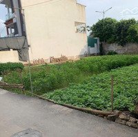 Bán Đất Trung Châu - Đan Phượng, Oto Vào Đấtdiện Tích62,2M Giá 38 Triệu/M