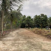 Kẹt Tiền Bán Lỗ 9 Lô Đất Tại Quới Sơn, Châu Thành, Bến Tre, Giá Cực Chất Toàn Bộ Chỉ 2,9 Tỷ, 1000M2