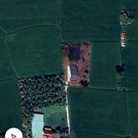 Bán Đất 1287M2 Tại Nhơn Thạnh Trung, Tân An, Long An, Giá Bán 450 Triệu