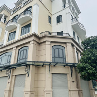 Cặp Shophouse Siêu Kinh Doanh Mặt Tiền Rộng 15M Cạnh Bệnh Viện Vinmec- Ocean Park 2