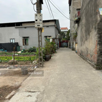 Bán Đất Cạnh Trường Mầm Non Xã Lệ Chi, Diện Tích 93M2 Đường Ô Tô Thẳng Trục Chính. Giá Thỏa Thuận