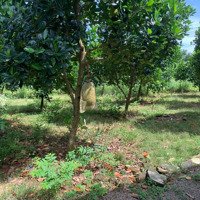 Bán Đất Nền Siêu Hời Gần Kcn Phú Túc, Định Quán, Đồng Nai, Rộng 6127M2, Giá Chỉ Hơn 7 Tỷ Đồng